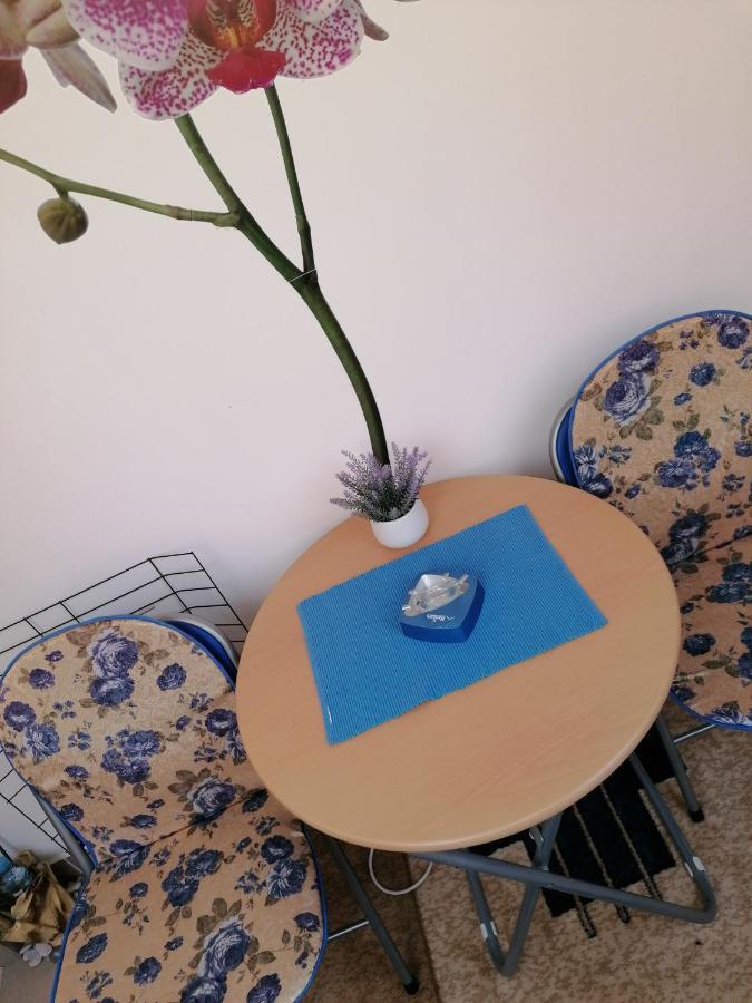 Apartman Nena Nova Varoš Extérieur photo